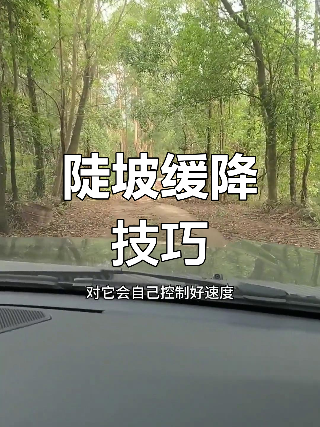包含赛段操作揭秘：车手如何掌控复杂路况？的词条