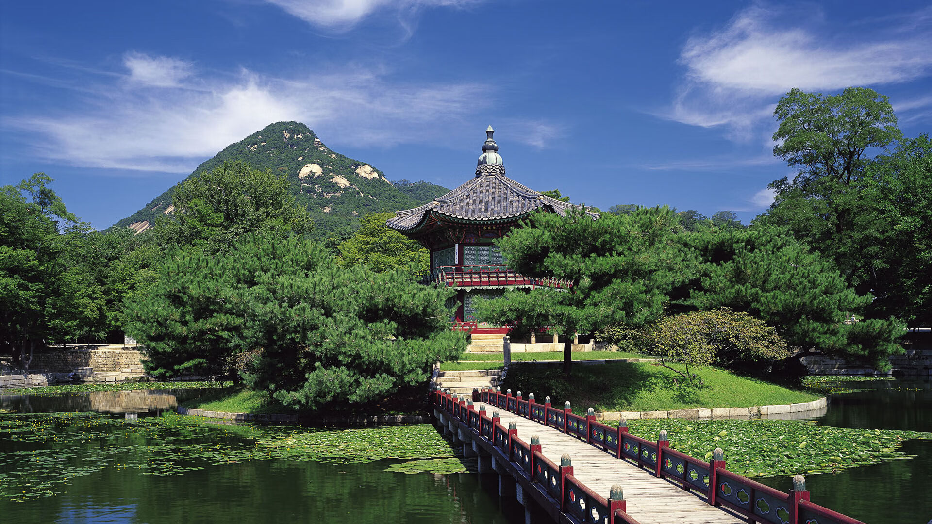 九游(jiuyou)官方网站-“未来之星：全国青少年足球大赛精彩纷呈，星光璀璨”，校园足球未来之星简介