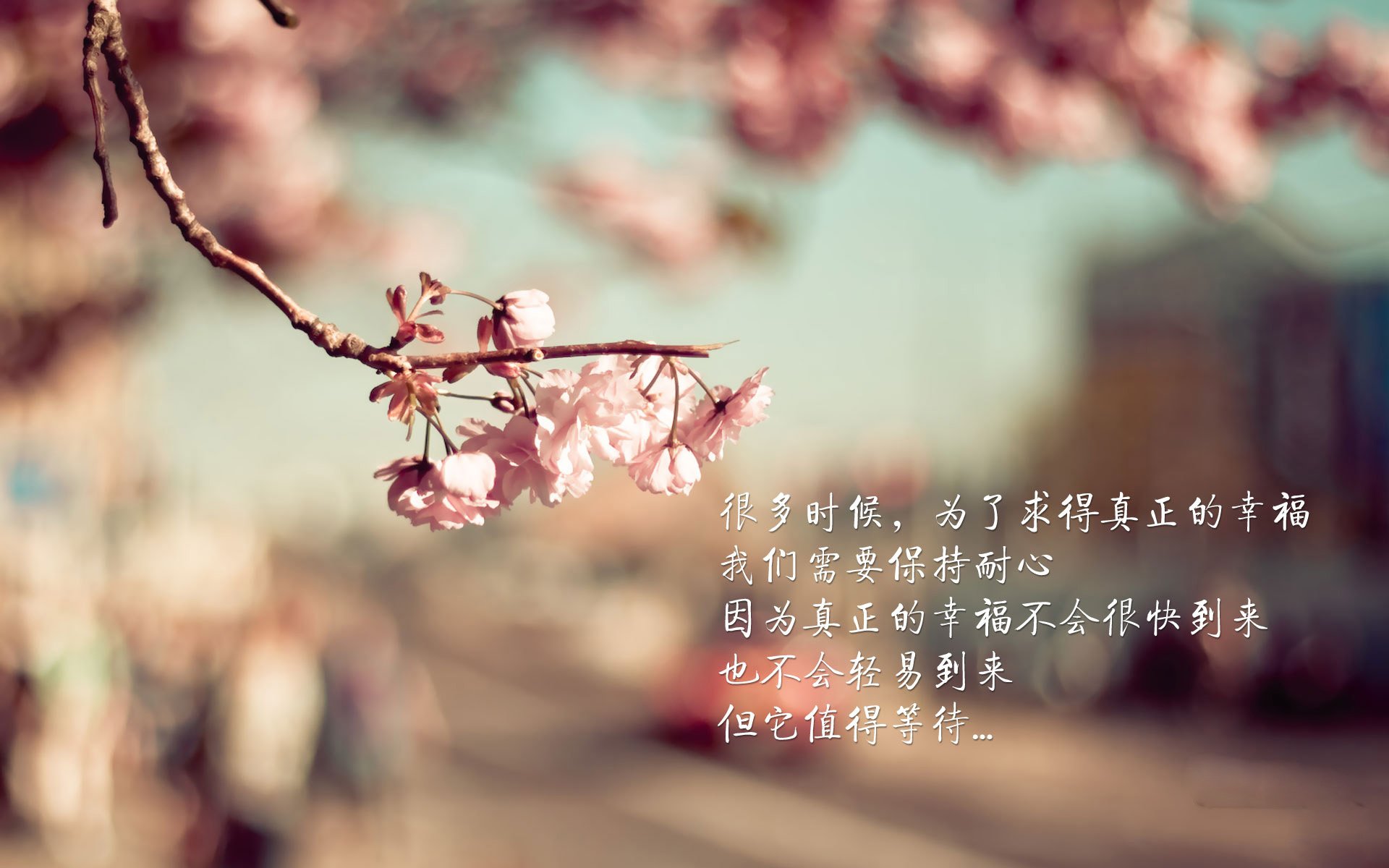 【创新规则激发新策略】运动员和教练如何“打破常规”？，运动员创新方法夺取冠军