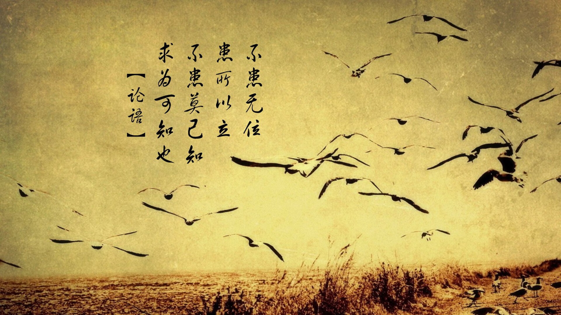 世界冰壶锦标赛，冰上策略的精彩较量，冰壶比赛世界排名