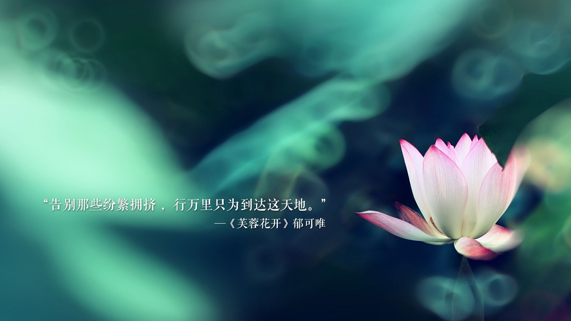 九游娱乐官网 (jiuyou)-意甲球员的个人品牌打造经验，意甲知名球员