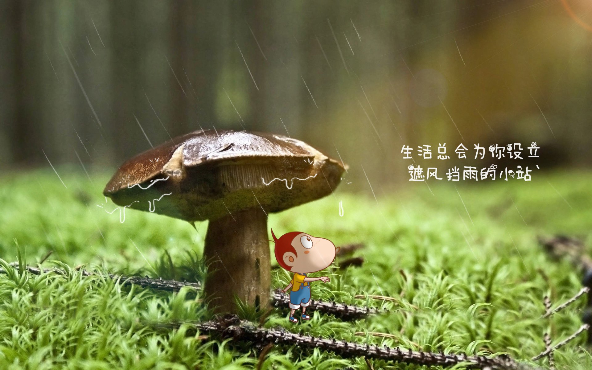 数字化青训体系实现流动管理，提升青少年发展效率，数字化体育训练